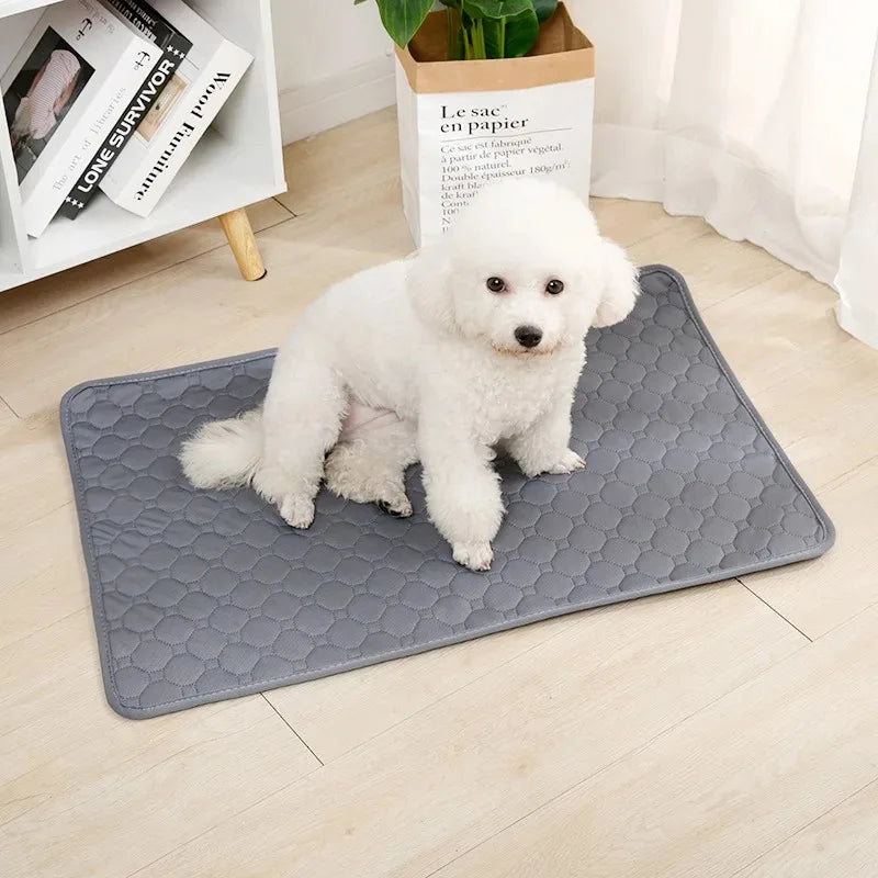 Reusable Dog Pee Pad – Washable Absorbent Puppy Training Mat & Pet Bed Protector
